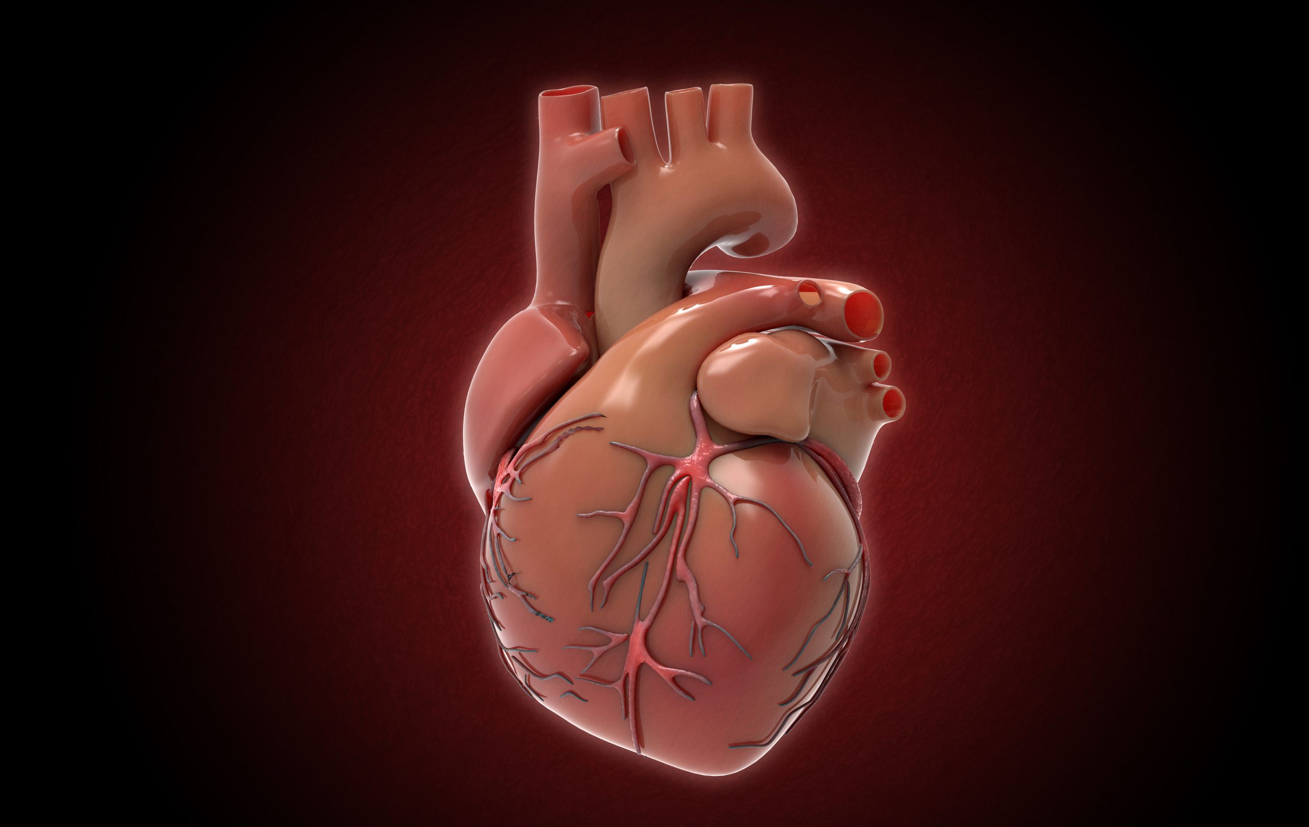 Structural Heart Defects - Advanced Heart and Vein Center